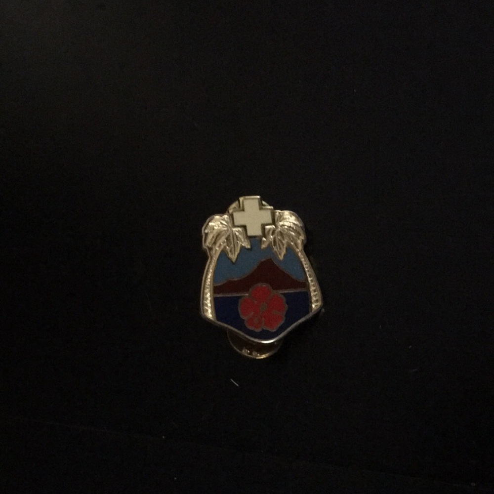 Hawaii pin